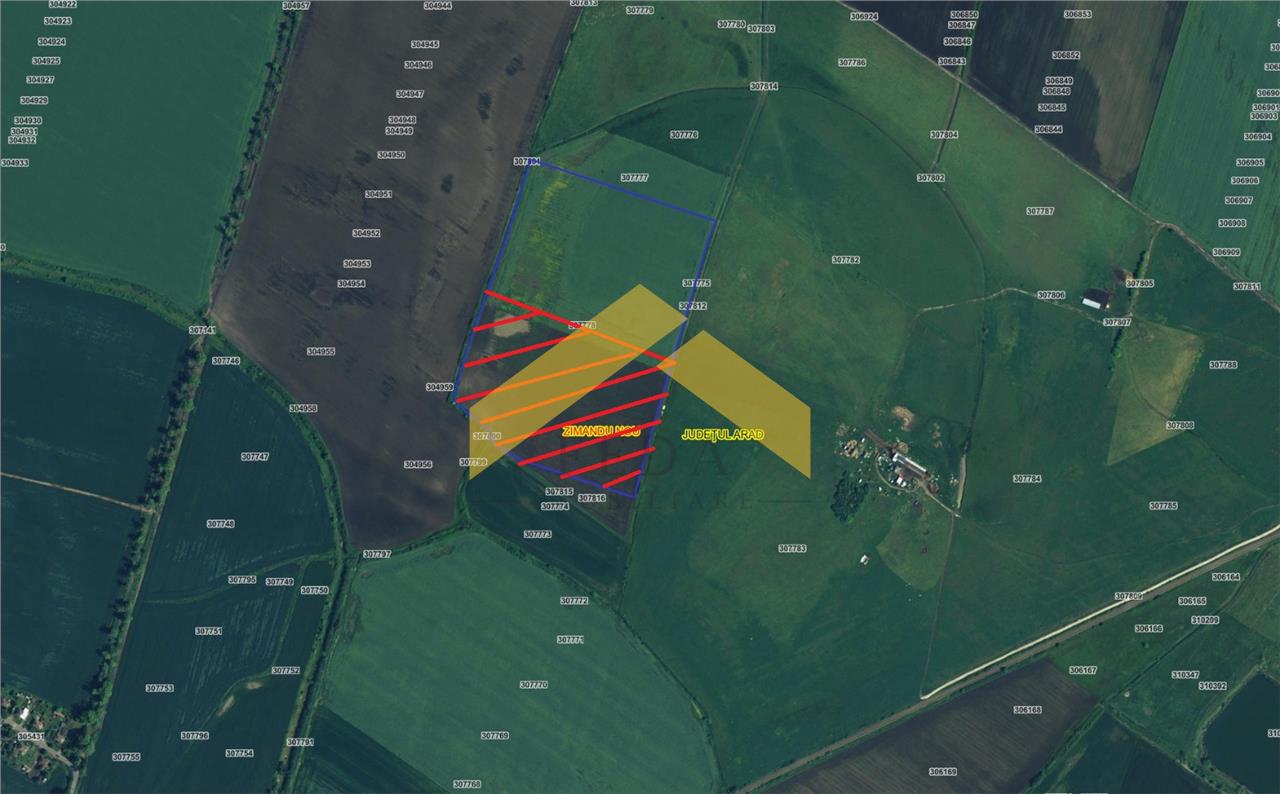 Teren 6,8ha extravilan de vanzare Zimandu Nou