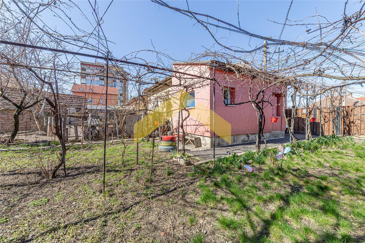 Spatiu comercial de vanzare in Micalaca, Calea Radnei